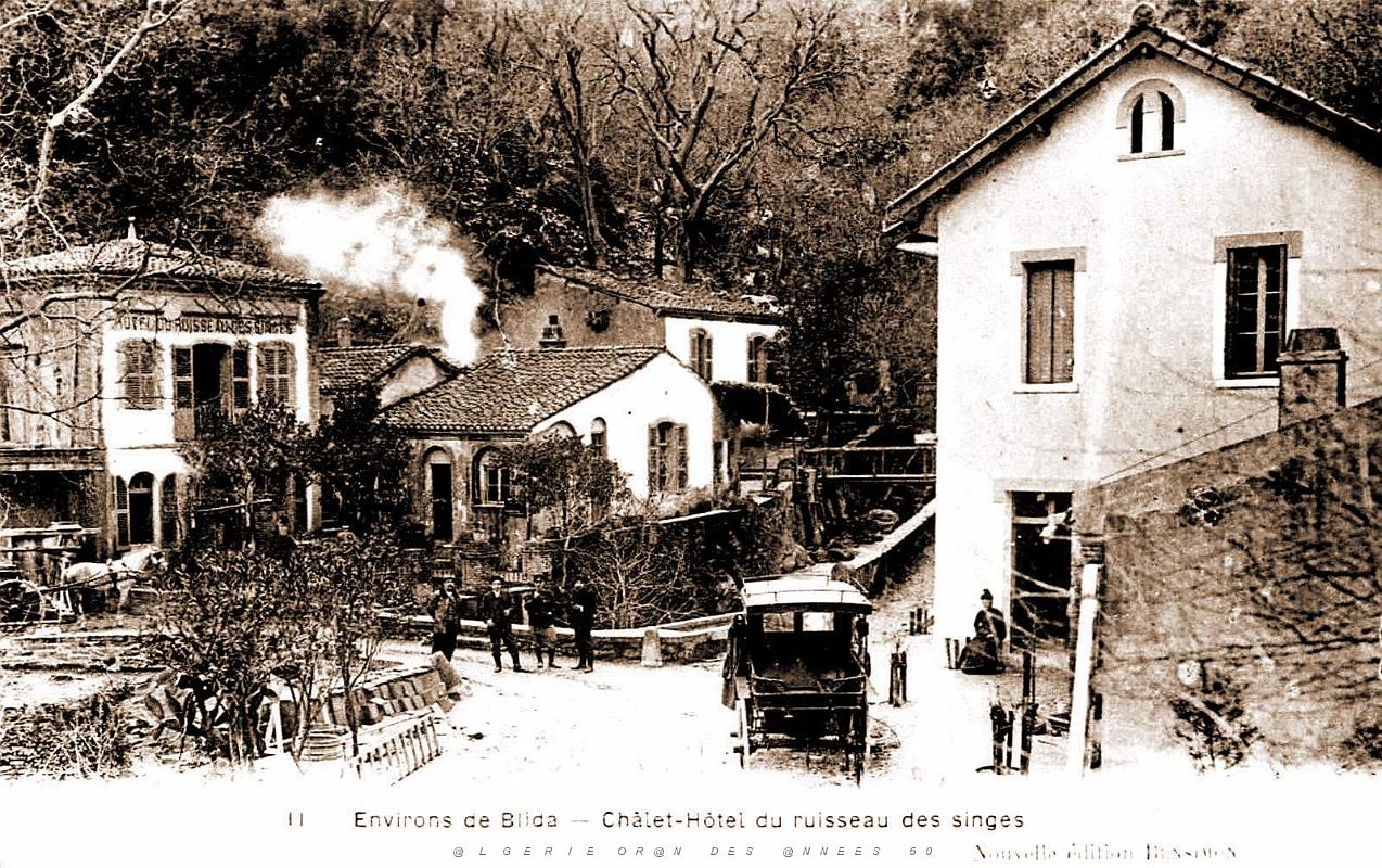 Blida - Hotel du Ruisseau des Singes.jpg